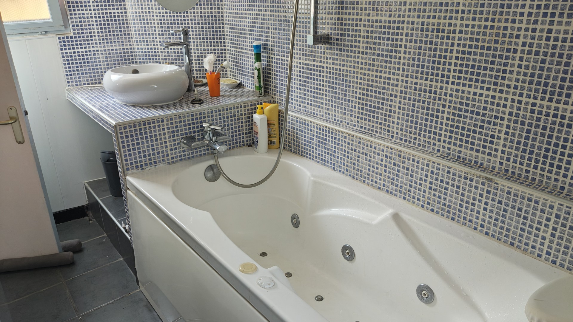 TELGENHOF - COEVORDEN à vendre