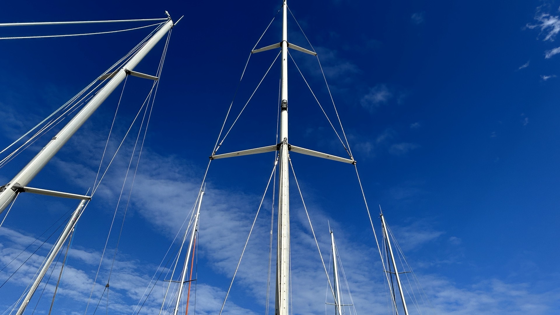 BAVARIA - 42 à vendre