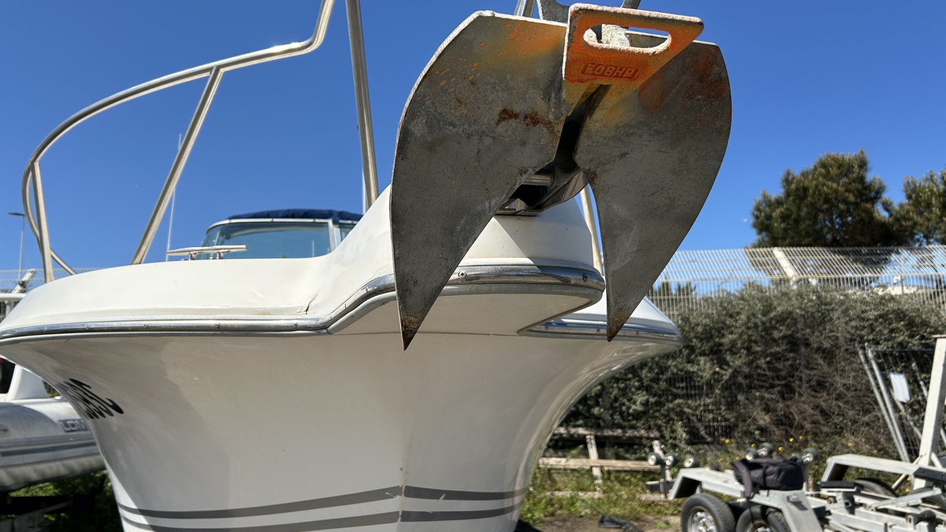WHITE SHARK - 226 à vendre