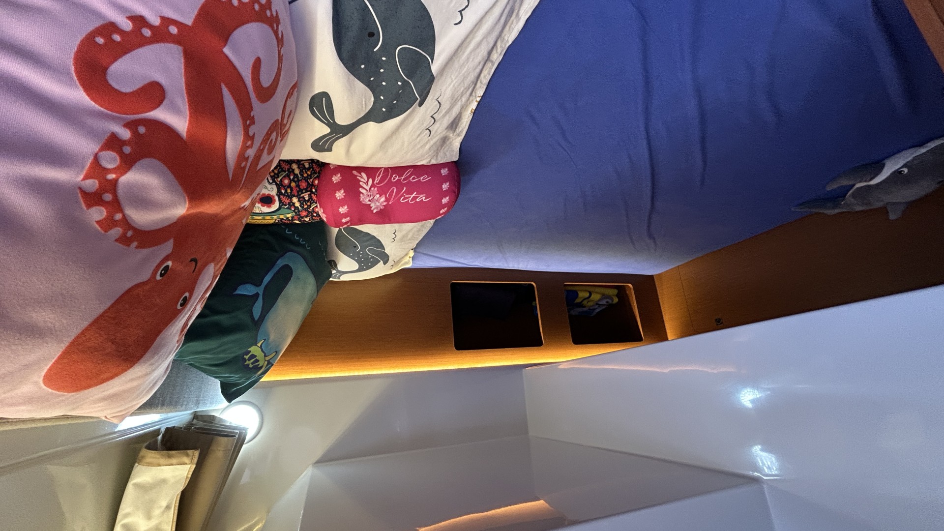 JEANNEAU - MERRY FISHER 895 à vendre