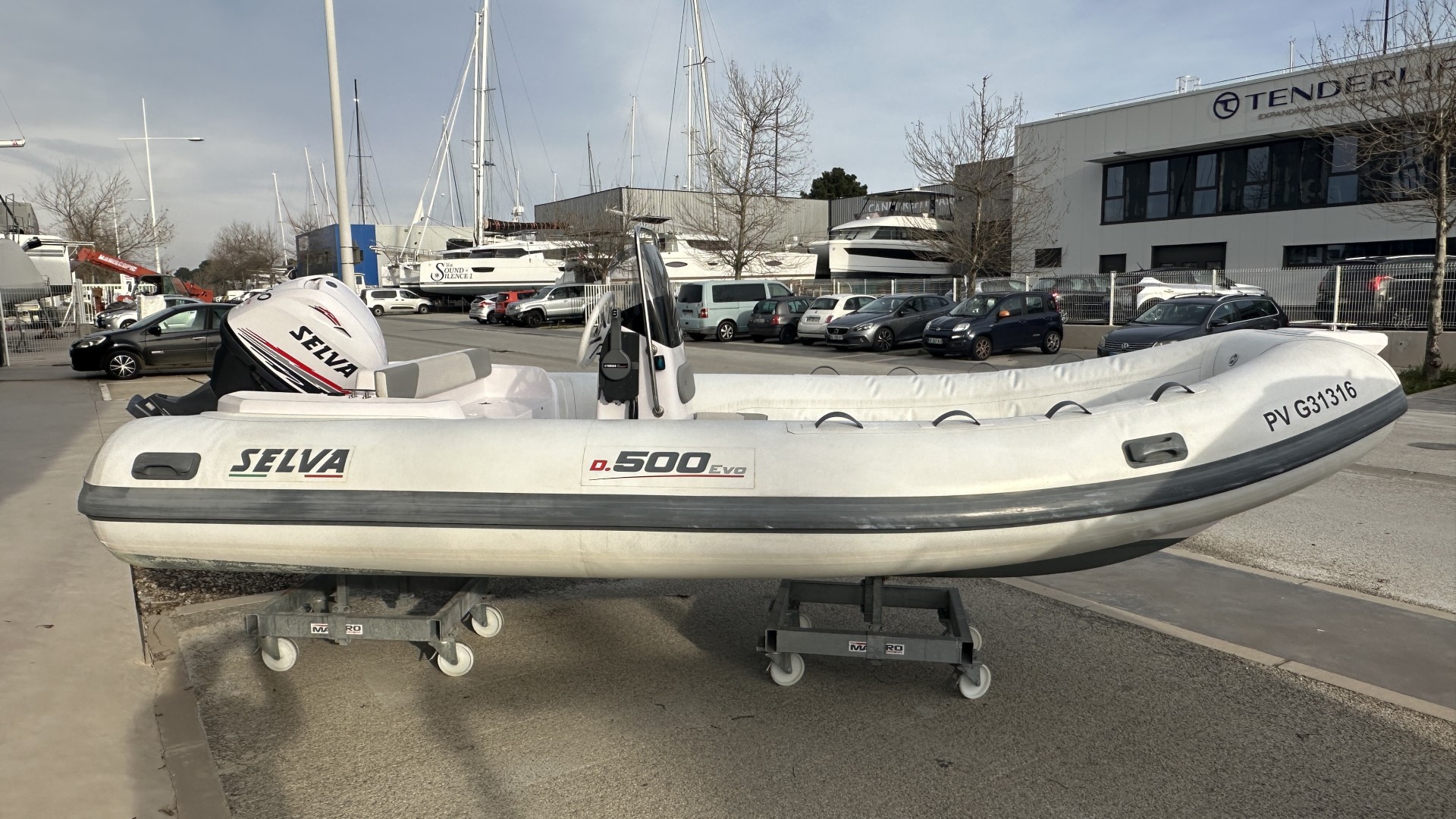 SELVA MARINE - D500 à vendre