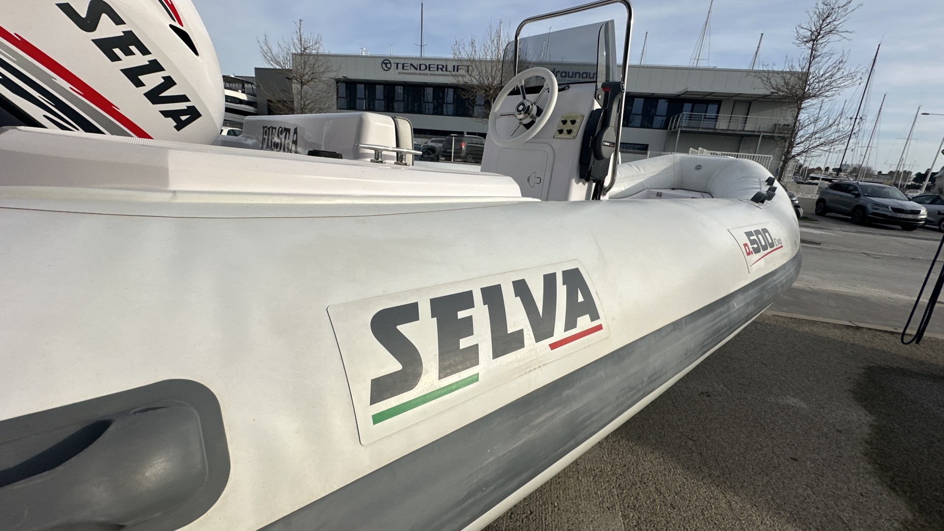 SELVA MARINE - D500 à vendre