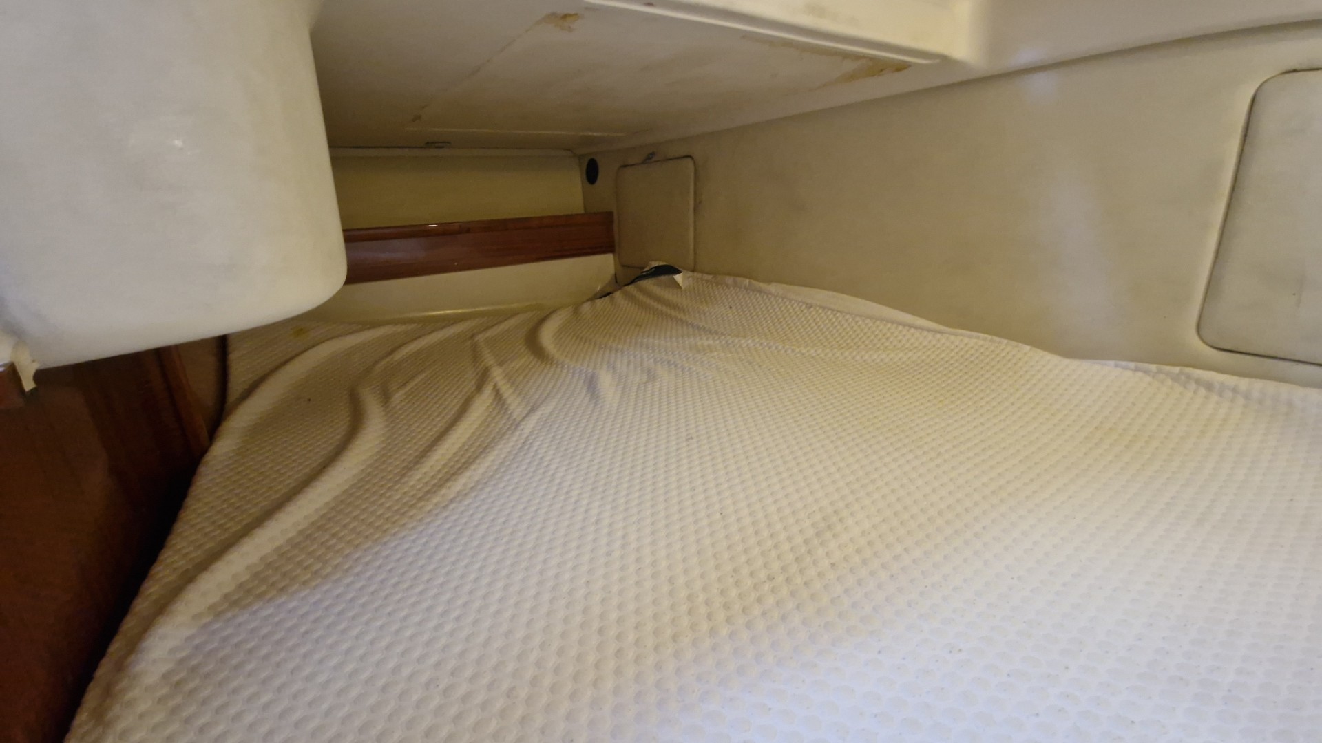 ACM - 31 ELITE à vendre