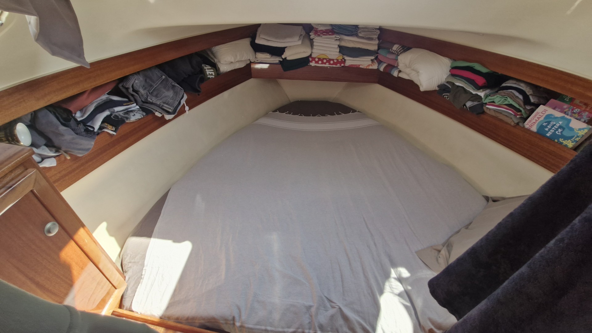 ACM - 31 ELITE à vendre