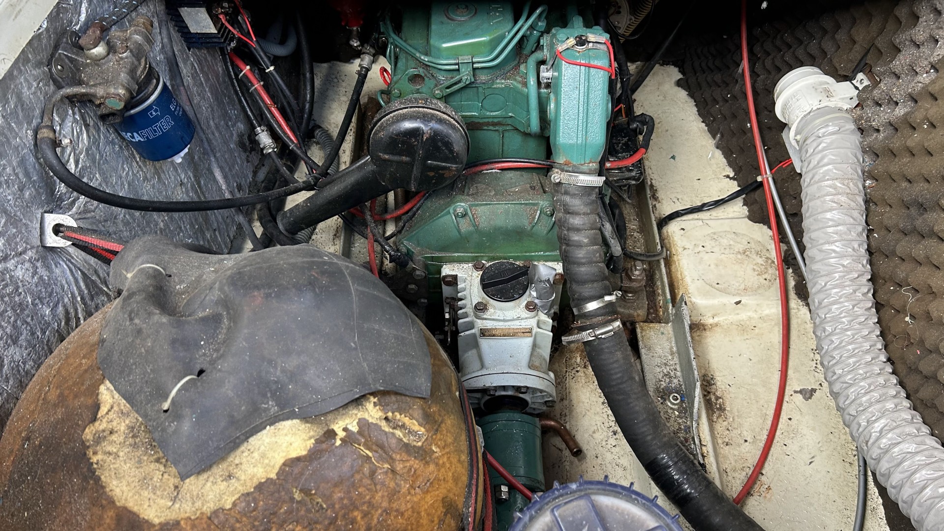 ALBIN NEDERLAND BY - MS82 à vendre