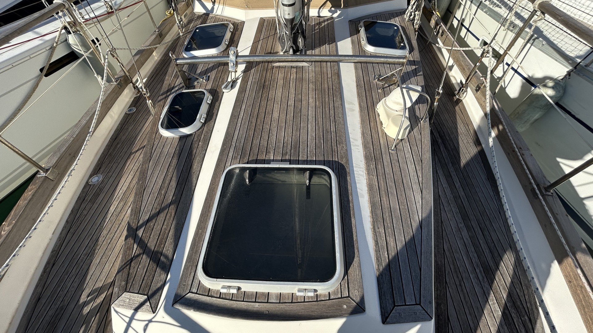 NORVEGIEN SILVESTRO - YSEULT à vendre