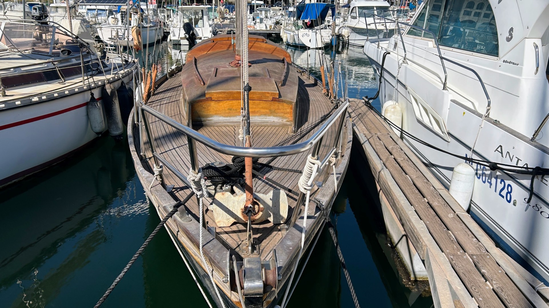 NORVEGIEN SILVESTRO - YSEULT à vendre