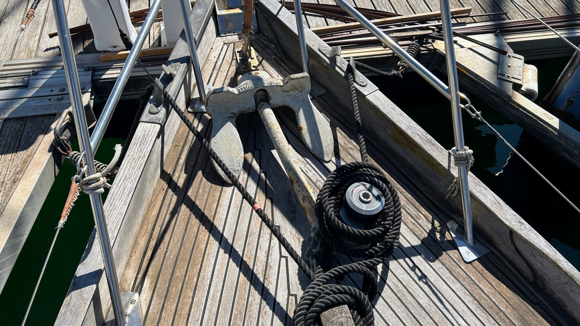 NORVEGIEN SILVESTRO - YSEULT à vendre