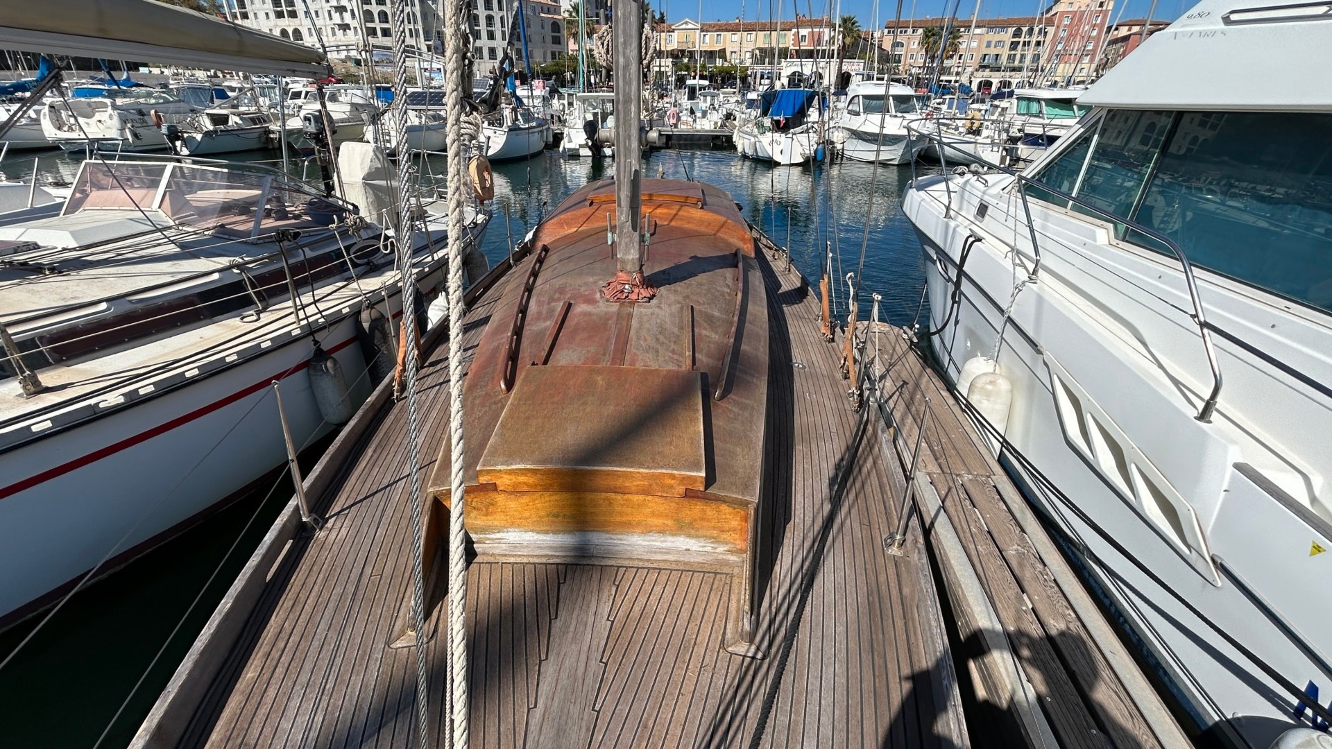 NORVEGIEN SILVESTRO - YSEULT à vendre