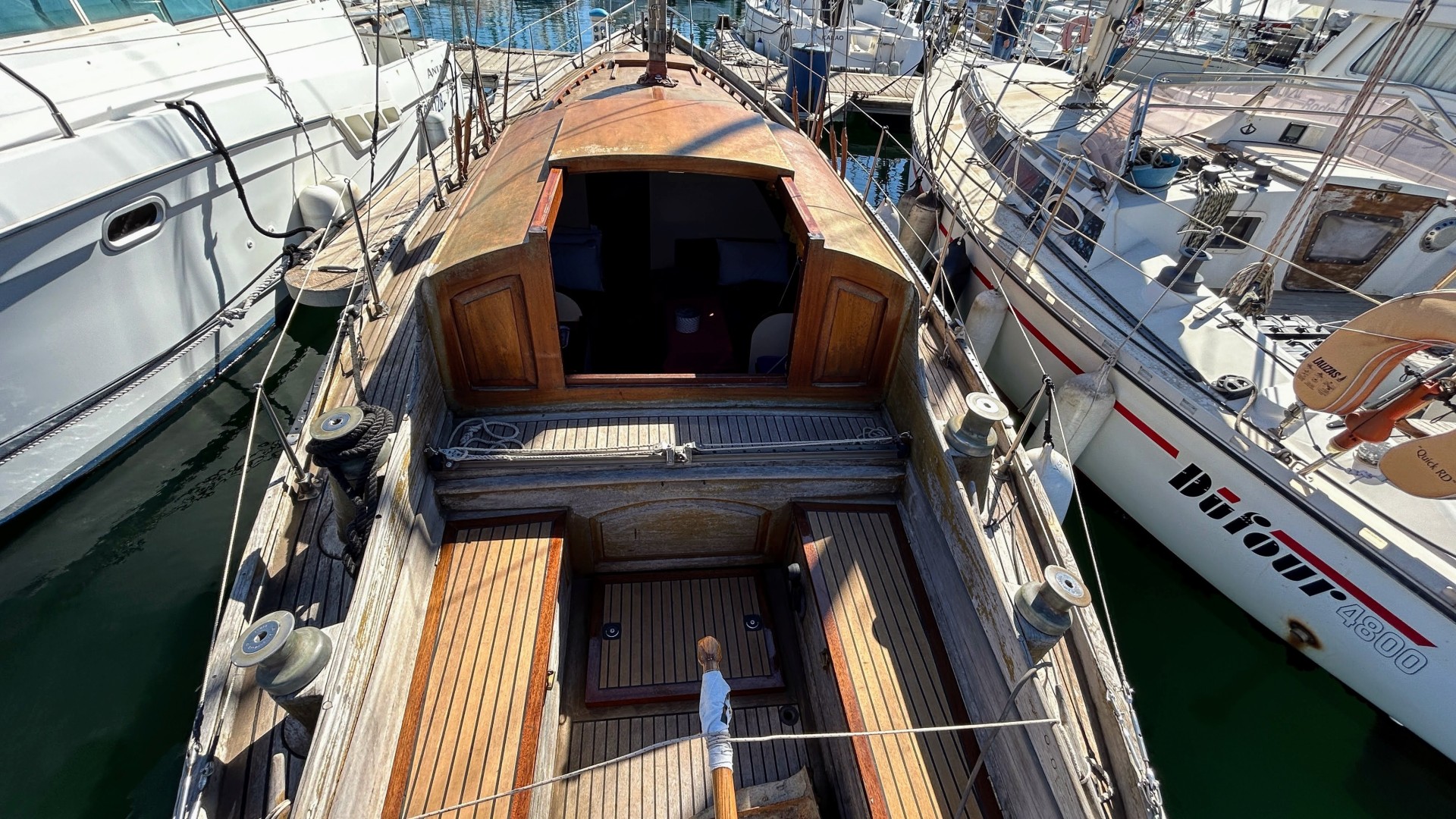 NORVEGIEN SILVESTRO - YSEULT à vendre