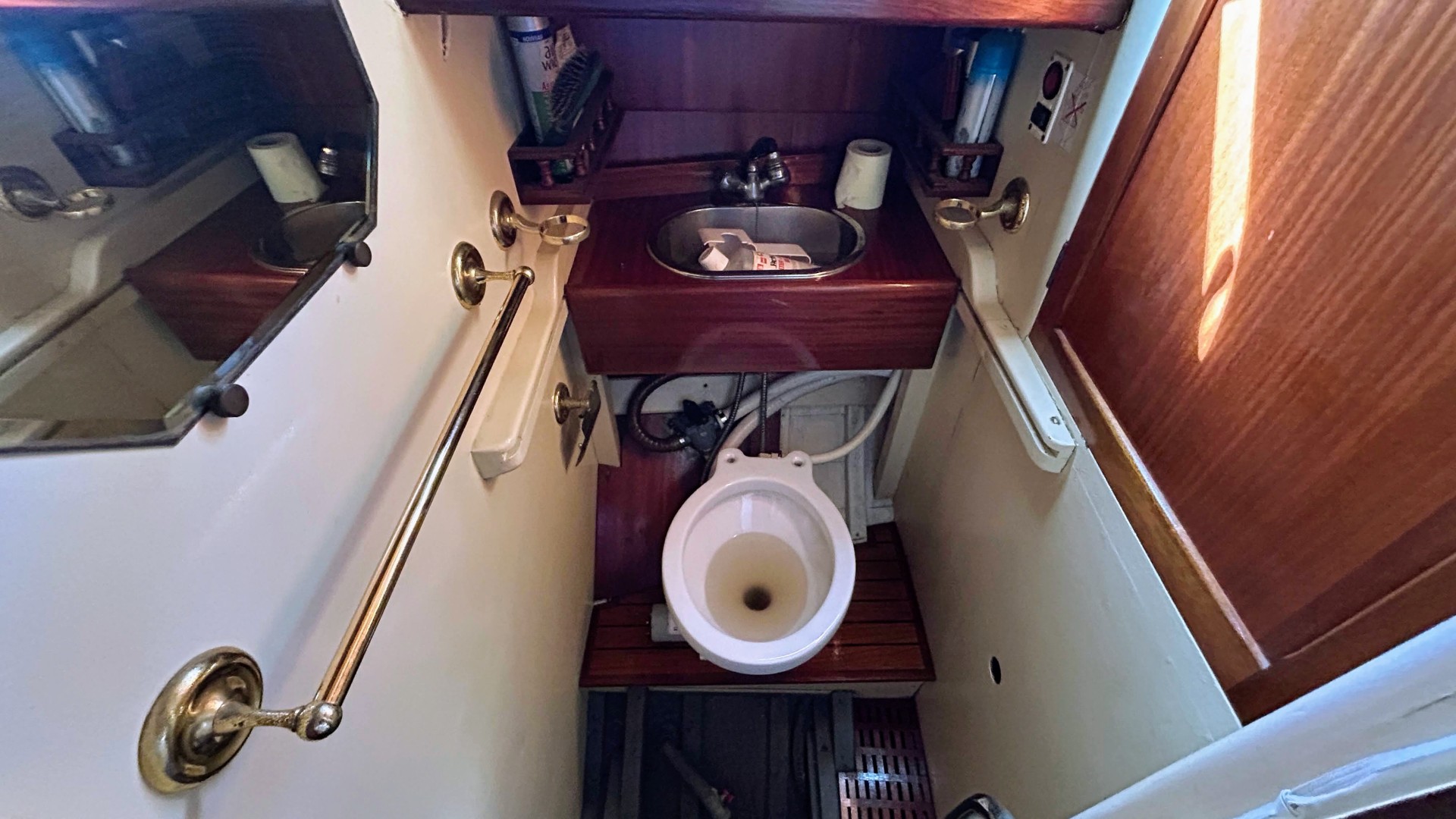 NORVEGIEN SILVESTRO - YSEULT à vendre