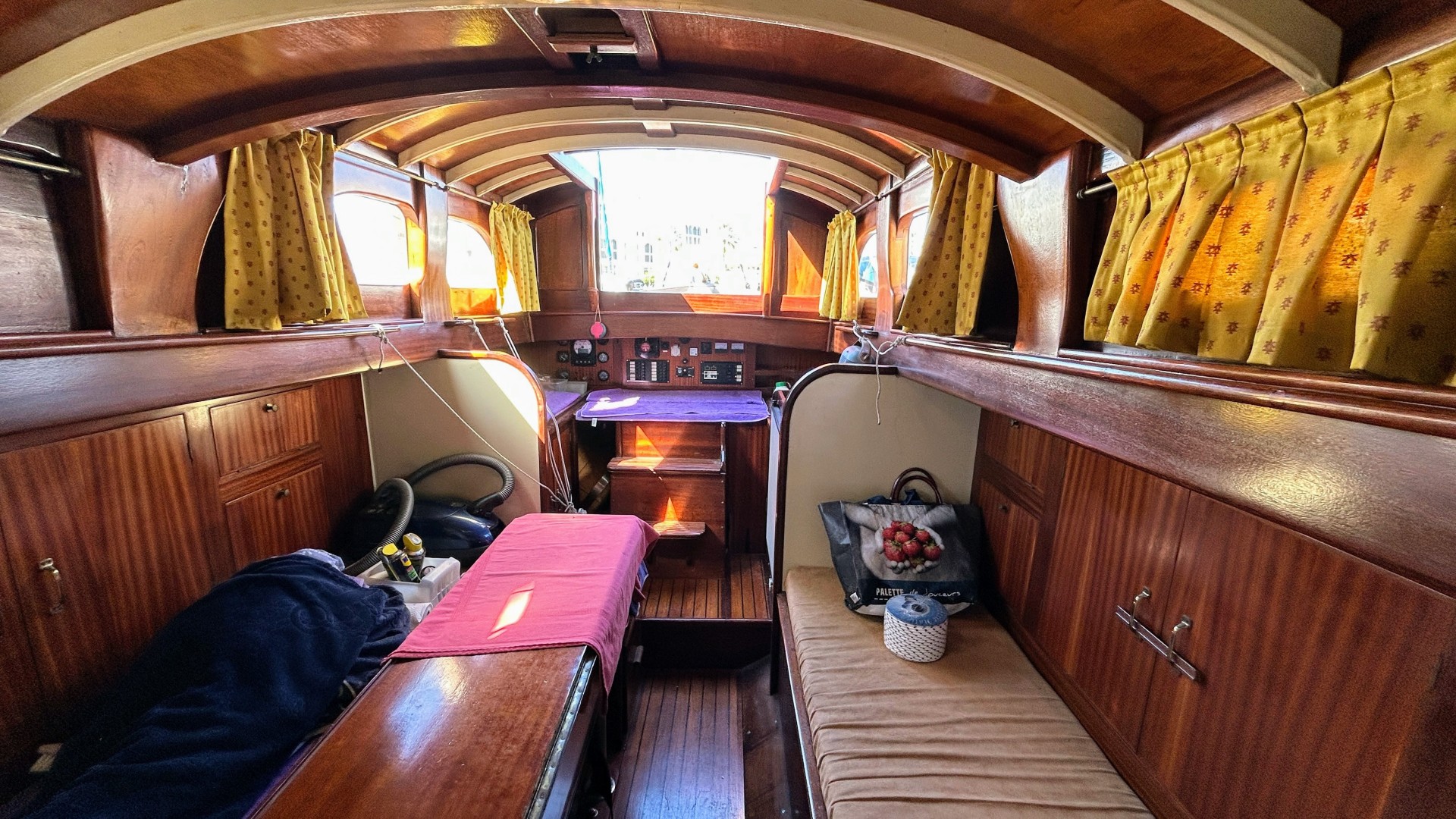 NORVEGIEN SILVESTRO - YSEULT à vendre