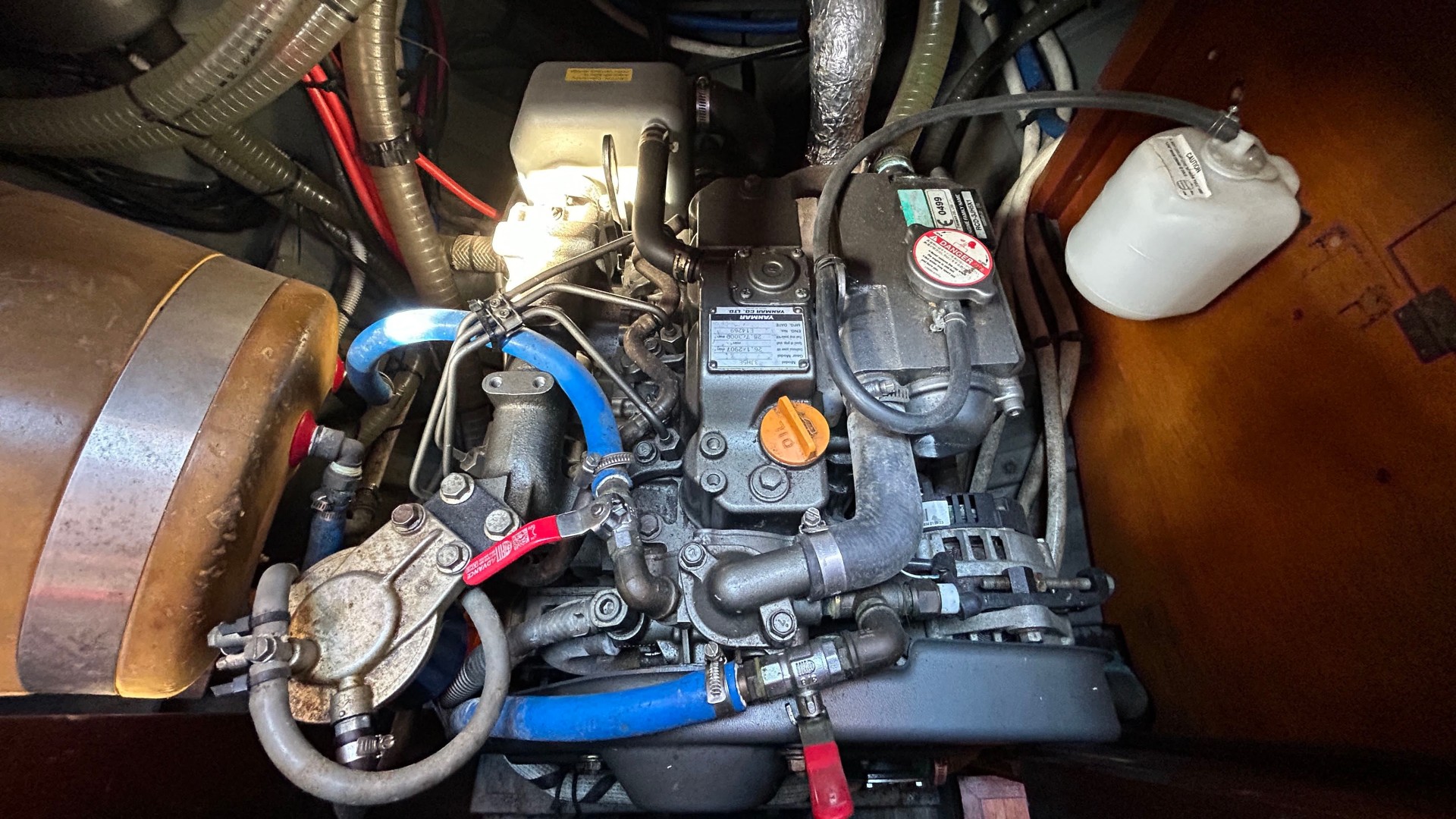 NORVEGIEN SILVESTRO - YSEULT à vendre