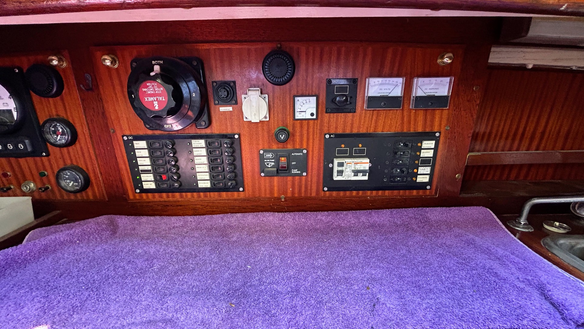 NORVEGIEN SILVESTRO - YSEULT à vendre