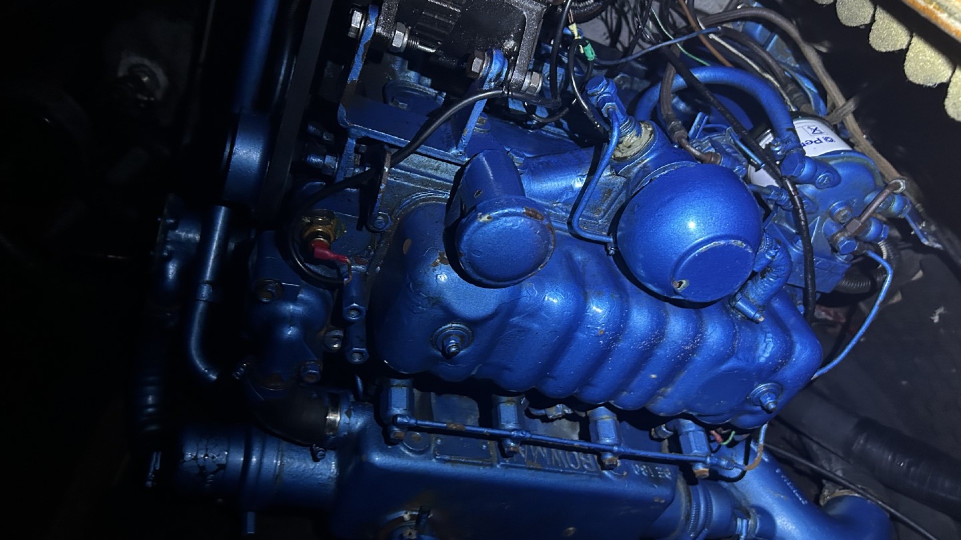 WAUQUIEZ - AMPHORA à vendre