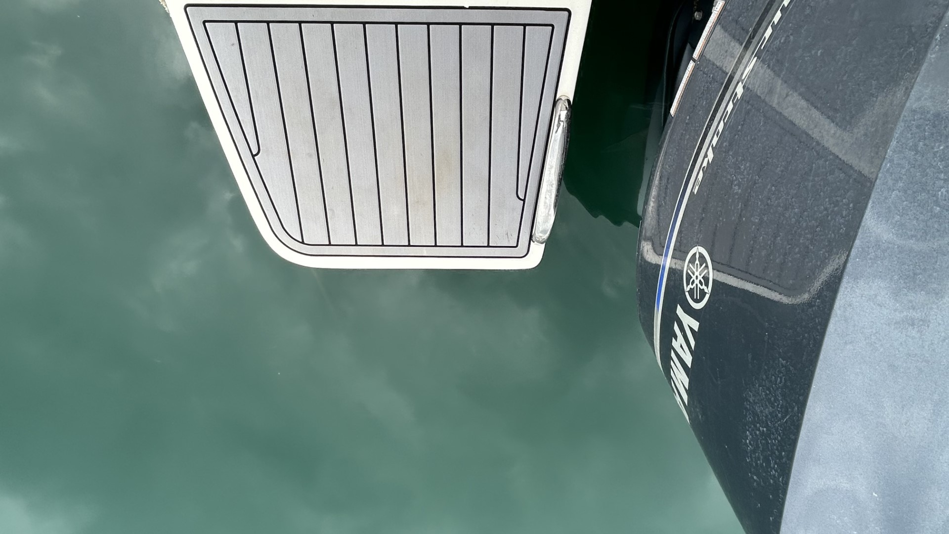 WHITE SHARK - 240 SC à vendre