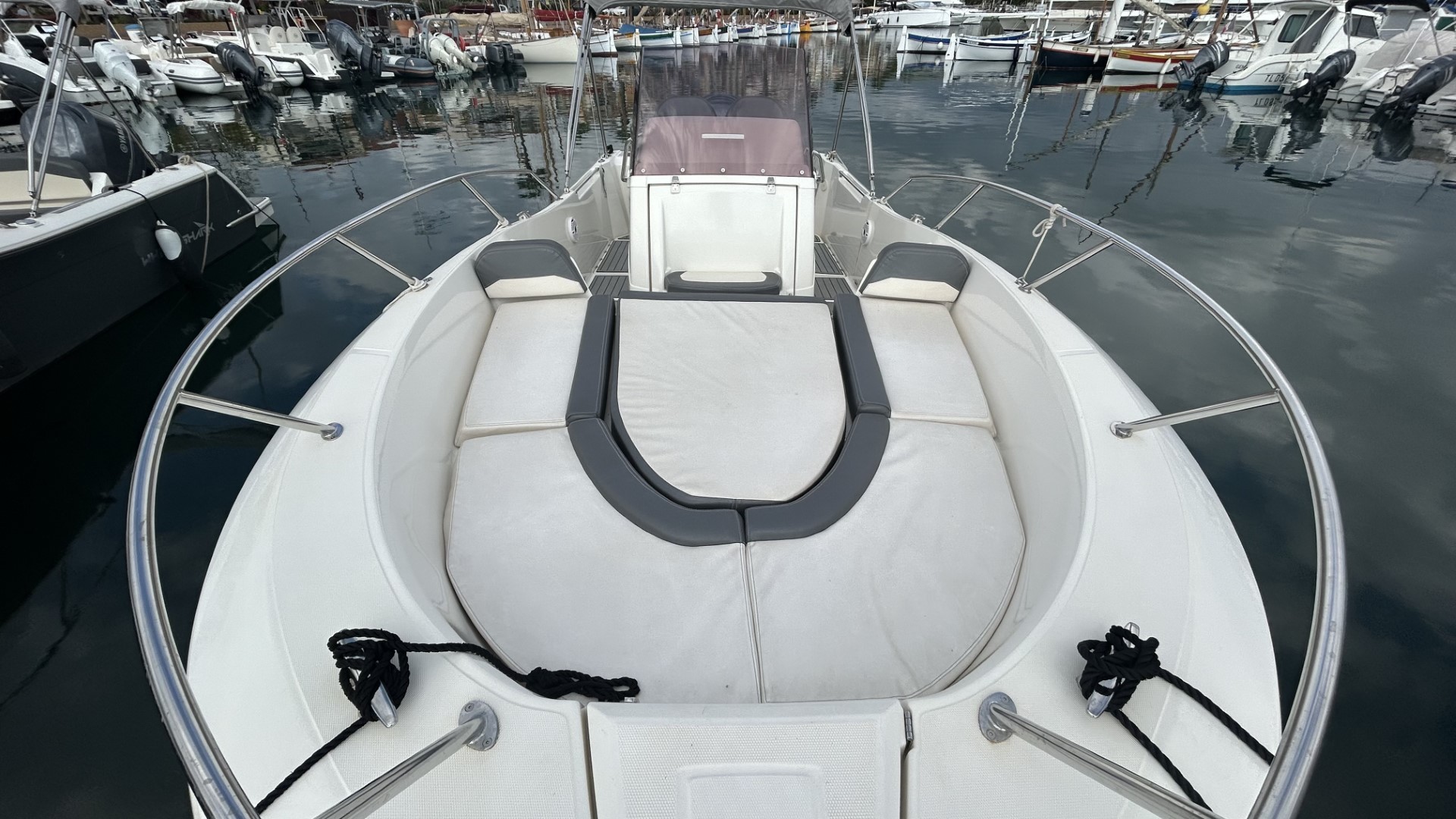 WHITE SHARK - 240 CC EVO à vendre