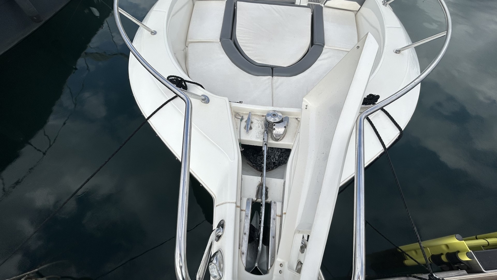 WHITE SHARK - 240 CC EVO à vendre