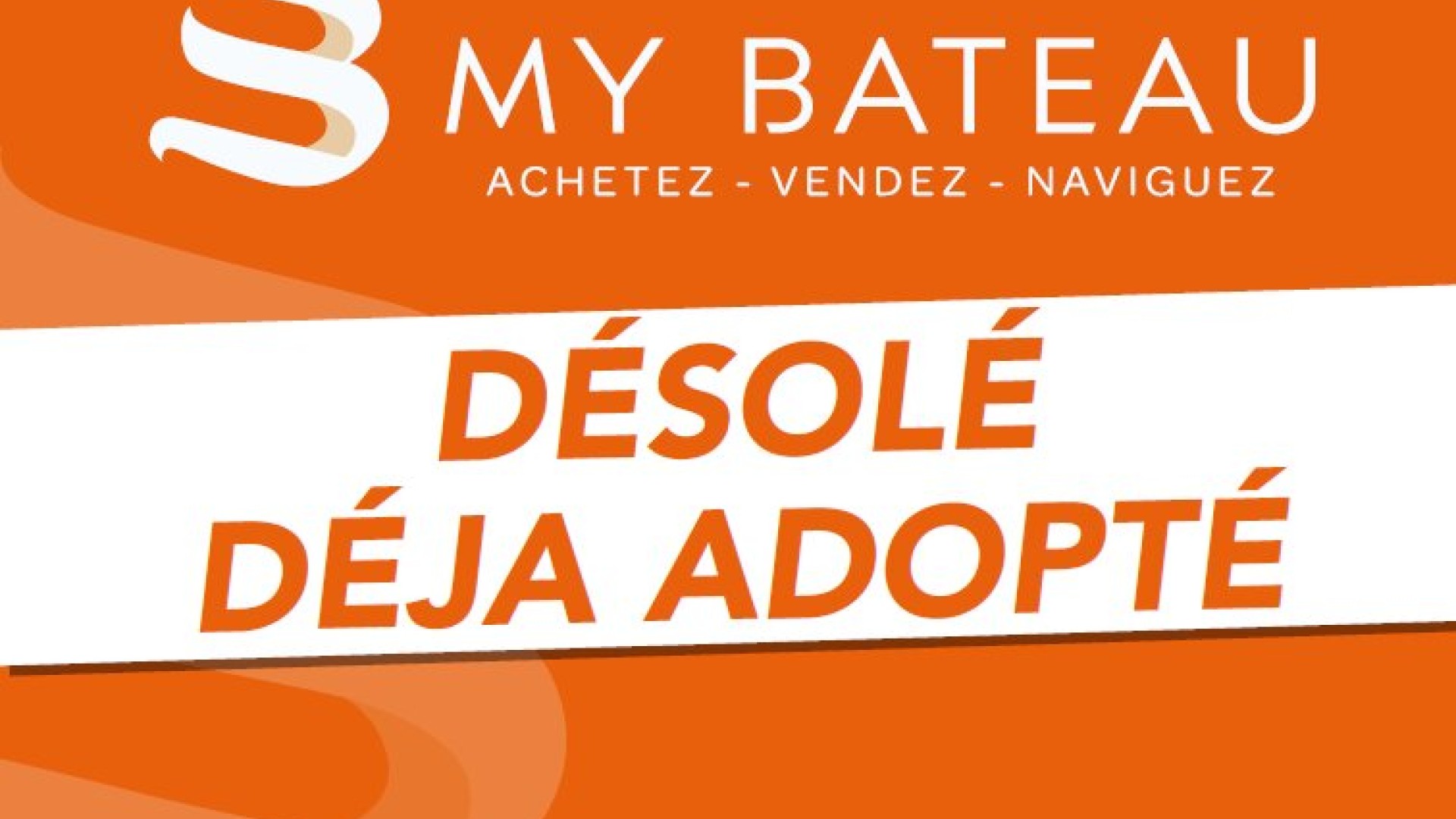 WHITE SHARK - 240 SC à vendre