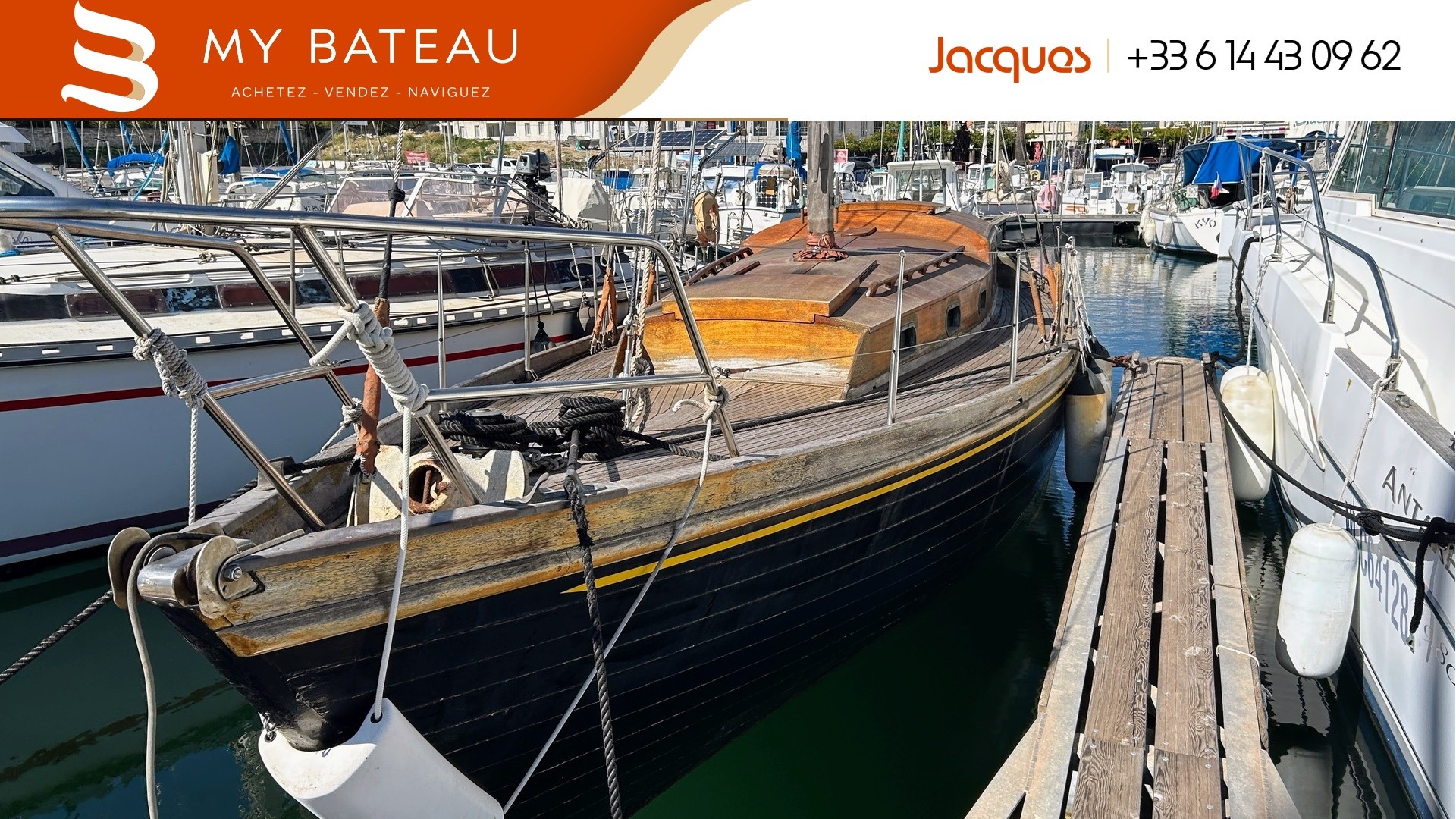 NORVEGIEN SILVESTRO - YSEULT à vendre