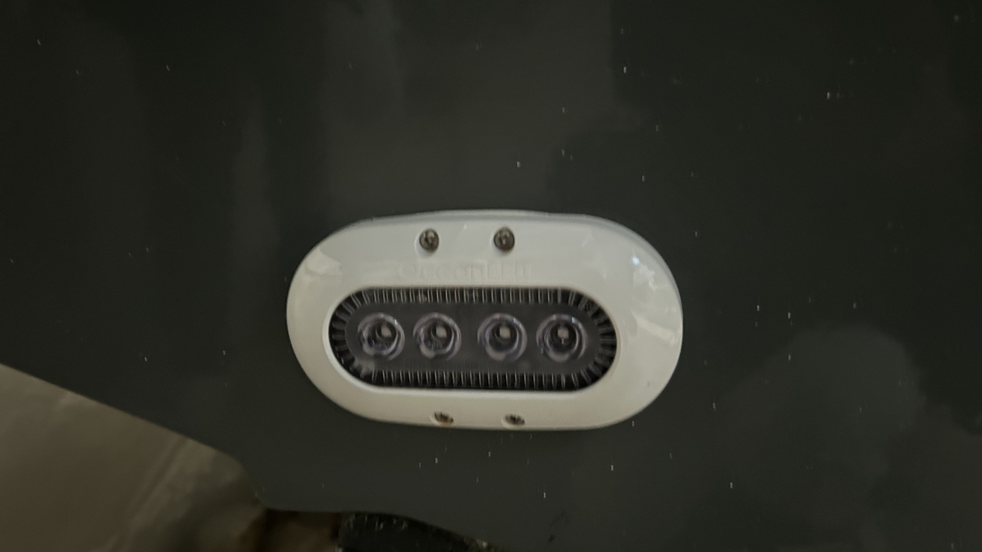 WHITE SHARK - 280 CC EVO à vendre