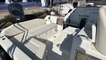 WHITE SHARK - 280 CC EVO à vendre