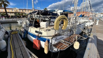 ALBIN NEDERLAND BY - MS82 à vendre