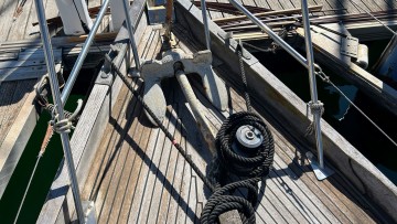 NORVEGIEN SILVESTRO - YSEULT à vendre