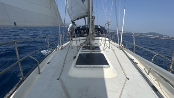 WAUQUIEZ - AMPHORA à vendre