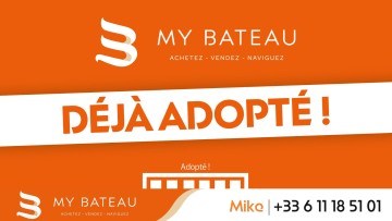 BAYLINER - 3988 à vendre
