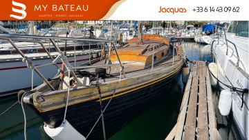 NORVEGIEN SILVESTRO - YSEULT à vendre