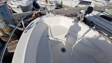 WHITE SHARK - 205 à vendre