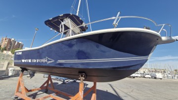 WHITE SHARK - 205 à vendre