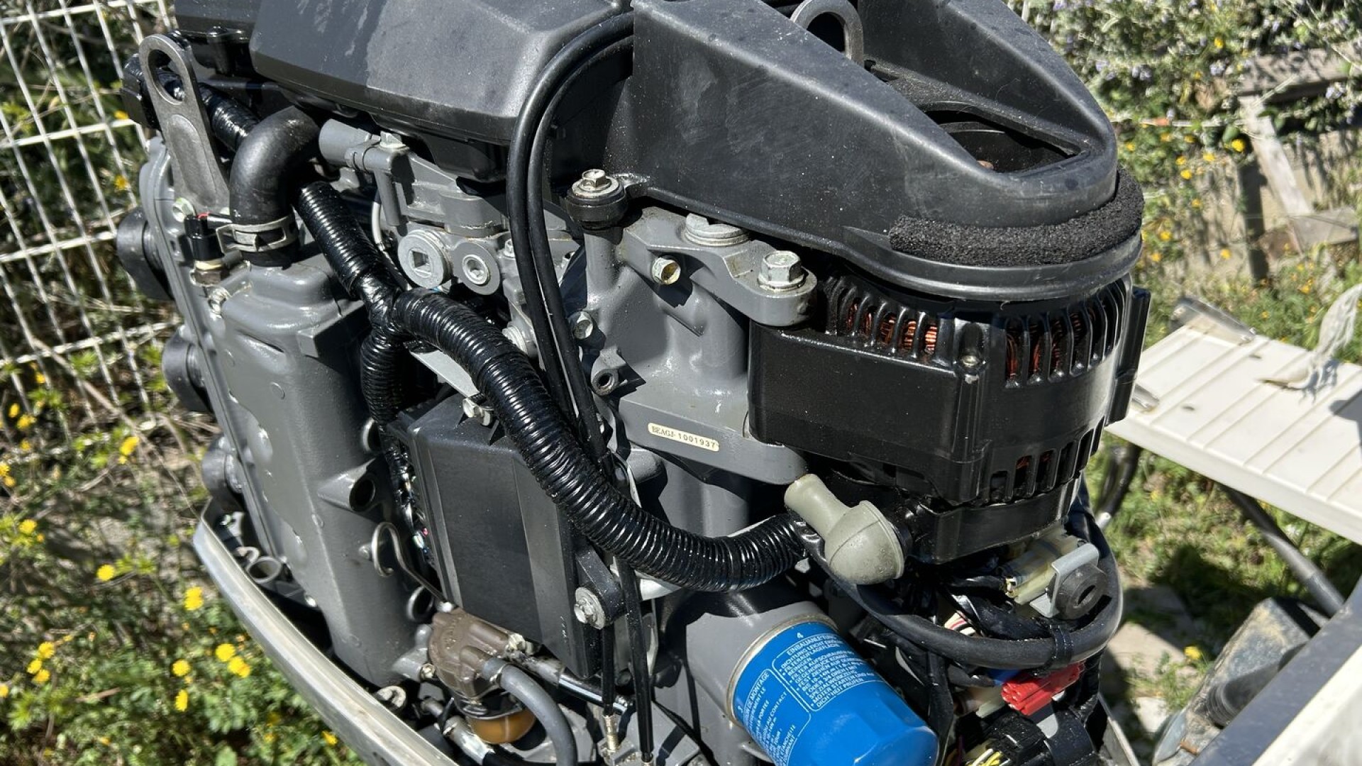 WHITE SHARK - 226 à vendre