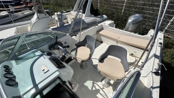 WHITE SHARK - 226 à vendre