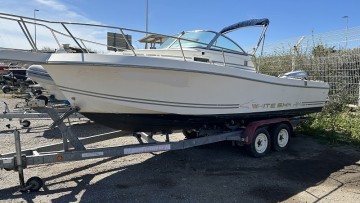 WHITE SHARK - 226 à vendre