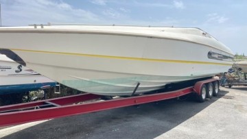 ABBATE PRIMATIST - G 36 à vendre