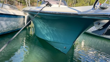 WHITE SHARK - 240 SC à vendre